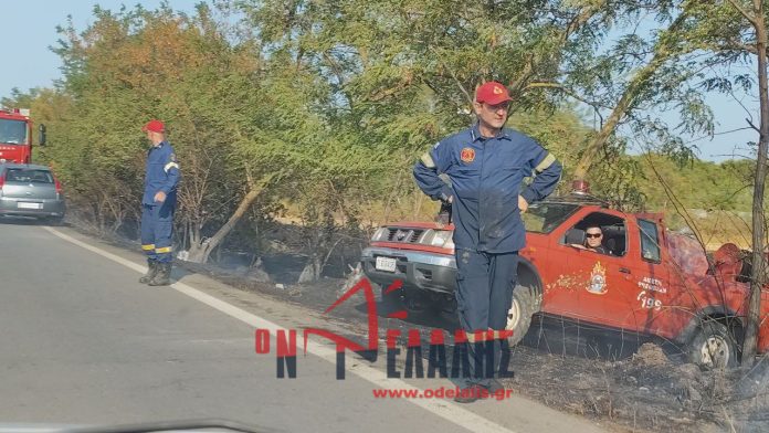 Πιερία: Πυρκαγιά κοντά στον Κορινό – Επί τόπου η Πυροσβεστική (φωτο & video)