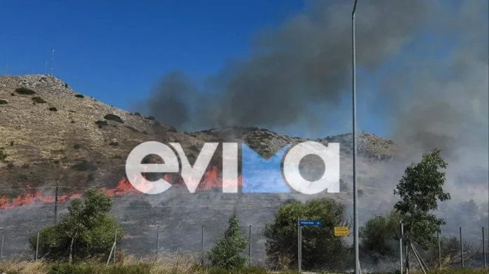 Νέα φωτιά δίπλα στο νοσοκομείο Χαλκίδας