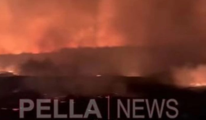 Πέλλα: Φωτιά έξω από το Λουτροχώρι Σκύδρας (video)