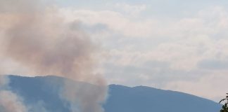 Κοντά σε πεδίο βολής η φωτιά στο Πάικο – Ενισχύθηκαν οι δυνάμεις κατάσβεσης (φωτο)