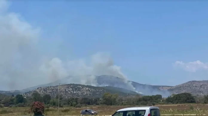 Φωτιά στην Πογωνιά Αιτωλοακαρνανίας – Επιχειρούν από αέρος 6 αεροσκάφη και 1 ελικόπτερο