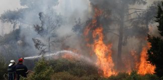 Φωτιά στο Ωραιόκαστρο: Απαιτείται πολύ νερό για να ελεγχθεί, λέει ο Αρτοποιός στο in – Οδηγίες για τον τοξικό καπνό από Σαρηγιάννη