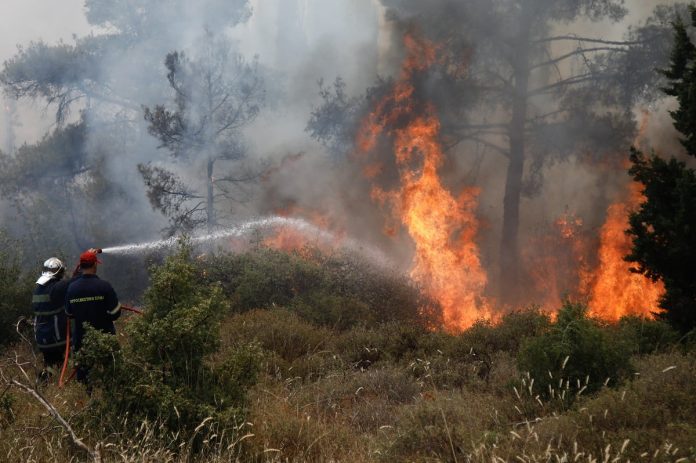 Θεσσαλονίκη: Φωτιά στο Φίλυρο – Επί τόπου η Πυροσβεστική