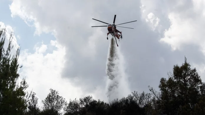 Φωτιά τώρα σε χαμηλή βλάστηση στην περιοχή Ελλοπία Βοιωτίας