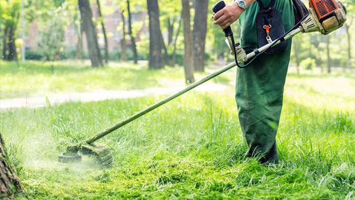 Πρόστιμα ύψους 300 ευρώ σε όσους καθάρισαν τα οικόπεδά τους αλλά δεν μπόρεσαν να «ξεφορτωθούν ασφαλώς» κλαδιά και ξερόχορτα!