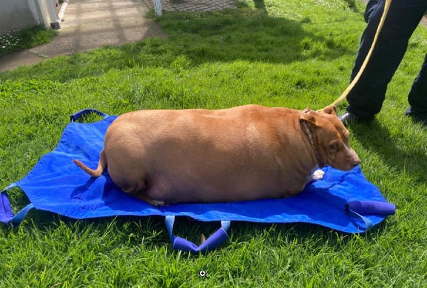 875_bdb7c2b3-c94d-48e2-b320-1e4192602b16