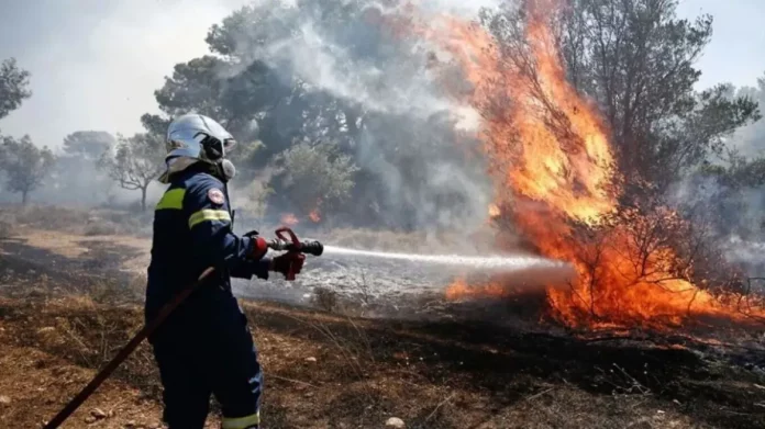 Κοζάνη: Πυρκαγιά σε δασική έκταση στην περιοχή Κάτω Ρολόϊ