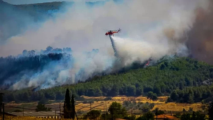Χωρίς ενεργό μέτωπο η φωτιά στην Εύβοια – Μάχη με τις διάσπαρτες εστίες