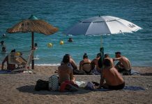 Αδέσποτος σκύλος επιτέθηκε και τραυμάτισε λουόμενους σε παραλία στην Εύβοια