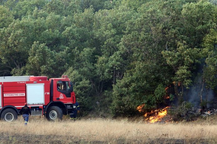 Θεσσαλονίκη: Φωτιά κοντά σε σπίτια στην Περαιά, κινητοποιούνται και εναέρια μέσα