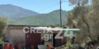 Κρήτη: Ανατροπή στην απόπειρα δολοφονίας του κτηνοτρόφου – Δεν «βλέπουν» βεντέτα τώρα οι Αρχές, εξετάζουν άλλο σενάριο
