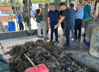 Συνελήφθη 51χρονος στη Θεσσαλονίκη – Ψάρεψε παράνομα 45 κιλά μύδια