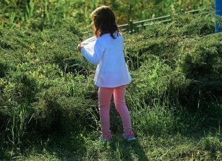 Βρετανία: Συμμορίες Πακιστανών βίαζαν ανήλικα παιδιά για δεκαετίες – 9 άνδρες στο εδώλιο