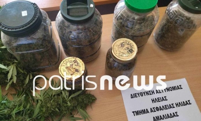 Αμαλιάδα: Άνδρας συνελήφθη με περισσότερο από 1 κιλό κάνναβης – Κατασχέθηκε και καραμπίνα