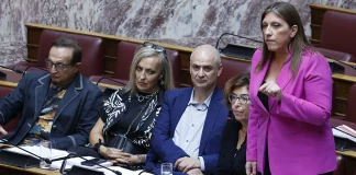 Μάλλον όχι δυναμικός ο κοινοβουλευτικός έλεγχος της Πλεύσης Ελευθερίας