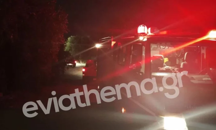 Φωτιά στην Χαλκίδα – Στις φλόγες αποθηκευτικός χώρος στην Ιχθυόσκαλα