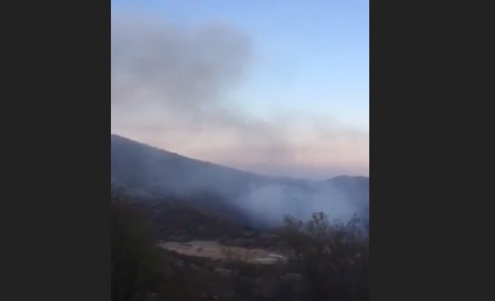 Καστοριά: Πυρκαγιά σε δασική έκταση στην Κλεισούρα – Επιχειρούν ισχυρές εναέριες και επίγειες δυνάμεις (φωτο)
