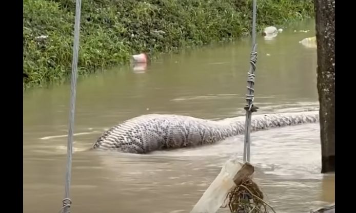 35b8bb29-Screenshot-(191)