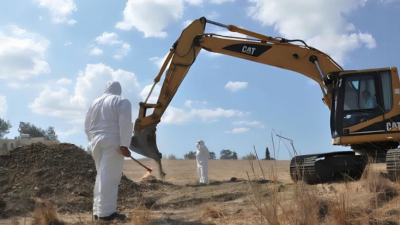 Screenshot-2024-12-28-20293