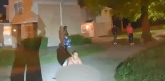 Φρίκη στις ΗΠΑ: 27χρονη σκότωσε και έφαγε γάτα – Είστε μεγάλος κίνδυνος, της είπε ο δικαστής