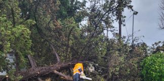 Μήνυση κατά του ΔΕΔΔΗΕ από τον Δήμαρχο Πυλαίας – Χορτιάτη – Χωρίς ρεύμα περιοχές για πάνω από 30 ώρες