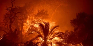 Πυρκαγιές στην περιοχή του Μαλιμπού – Εντολές για εκκένωση οικισμών