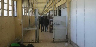 Συρία: «Ένιωθα σαν πτώμα που αναπνέει» – Συγκλονιστικές μαρτυρίες ανθρώπων που απελευθερώθηκαν από τα κολαστήρια του Άσαντ