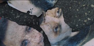 Ισραήλ και ΗΠΑ βιάζονται να διαλύσουν τη Συρία – Τι λέει Ρώσος ειδικός