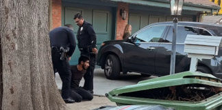 Κάτοικοι ακινητοποίησαν παράνομο μετανάστη στο Λος Άντζελες που έβαζε φωτιές στους δρόμους – Δείτε βίντεο