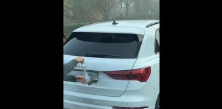 Γιατί όλοι βάζουν μονωτική ταινία στις πινακίδες των αυτοκινήτων τους – Η νέα μόδα στην Ευρώπη