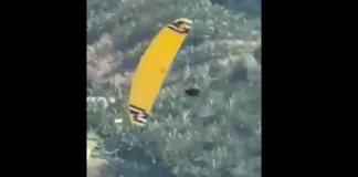 Τραγικός θάνατος για 38χρονη Πολωνή: Λύθηκε ιμάντας από το αλεξίπτωτο πλαγιάς και έπεσε στο κενό – Δείτε βίντεο