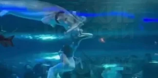 Ψάρι επιτέθηκε και «δάγκωσε» γυναίκα που έκανε τη γοργόνα σε ενυδρείο στην Κίνα – (VIDEO)