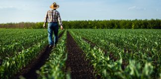 Ποια επαγγέλματα θα αναπτυχθούν και ποια θα μαραζώσουν στην Ελλάδα του 2030