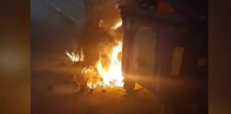 Κτηνωδία στην Eύβοια: Έκαψαν 4 σκυλάκια μέσα σε κάδους σκουπιδιών