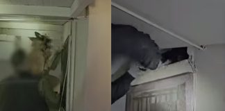 ΕΛ.ΑΣ: Η στιγμή που αστυνομικός σκύλος “ξετρυπώνει” ναρκωτικά (video)