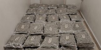 Ηγουμενίτσα: Ο Βλαντ βρήκε 111 κιλά ακατέργαστης κάνναβης, κρυμμένη σε φορτηγό (VIDEO-ΦΩΤΟ)