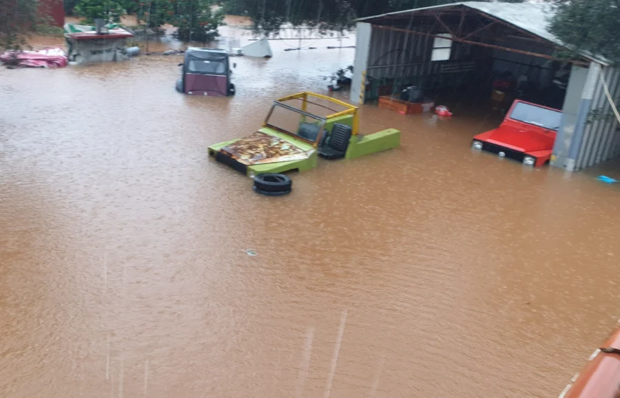 8d25f9fa64bfec59009da4eb5dcaef84_L