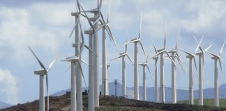 Εύβοια: Καταγγελία στην Ευρωπαϊκή Επιτροπή εξαιτίας της ανεξέλεγκτης εγκατάστασης ανεμογεννητριών