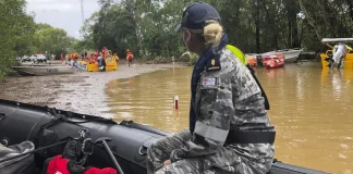 Κροκόδειλοι βγήκαν στους δρόμους μετά τις καταστροφικές πλημμύρες στην Αυστραλία (VIDEO)
