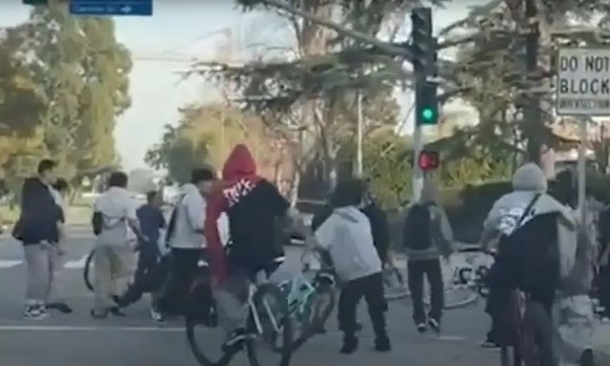 c4a48d7b-epithesh-la