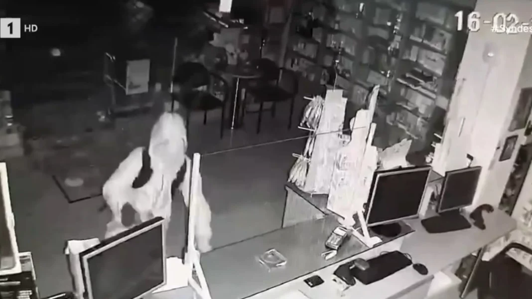 farkameio-thessalonjiki