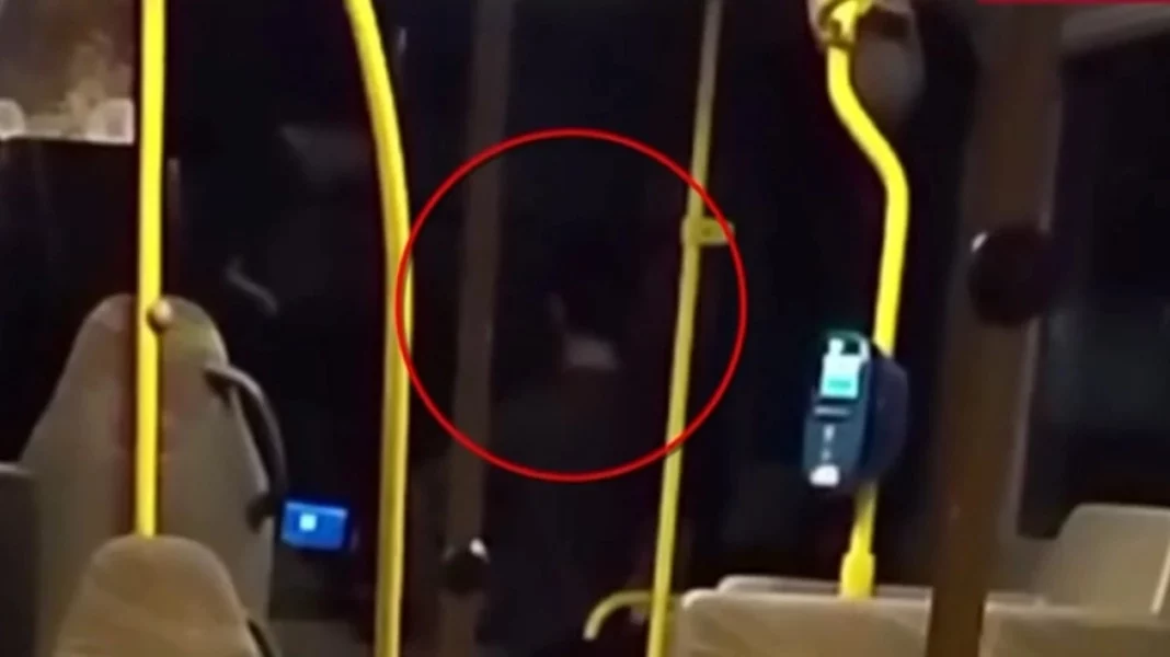 oasa_odigos_anilikos