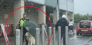 Άνδρας security κράτησε ομπρέλα σε σκύλο για να μη βραχεί και έγινε παγκόσμιο viral