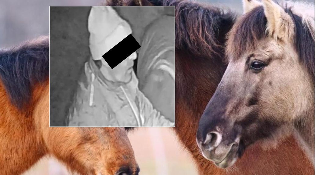 tourkos-e1738688180496