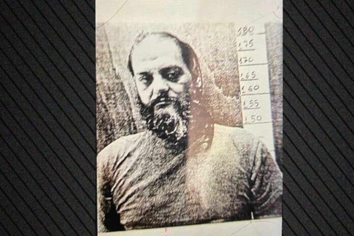 trofimos-dafni-696x464