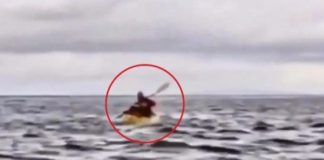 Χιλή: Φάλαινα κατάπιε νεαρό και τον «έφτυσε» σώο και αβλαβή