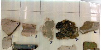 Τέμπη: Τα δείγματα ξυλολίου στην επιβατική – Τι είδε το χημείο του κράτους