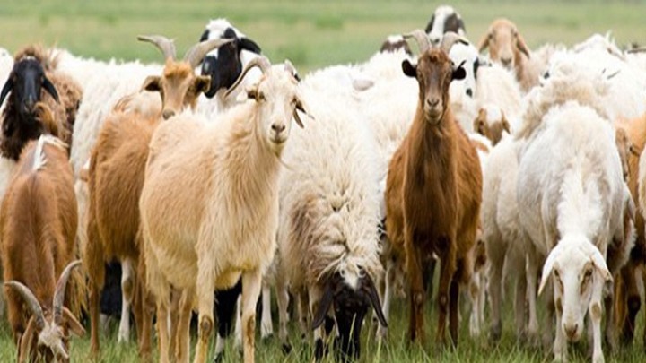 584e494c976efe0f39d0e8f3380db23e-b