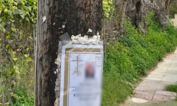 64d4bdb9-kideioxarto