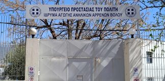 Βόλος: Σεσημασμένος κακοποιός ο 20χρονος που διέφυγε από Ίδρυμα Αγωγής Ανηλίκων – Ρήμαξε καταστήματα